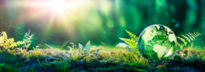 Environment,Concept,-,Globe,Glass,In,Green,Forest,With,Sunlight