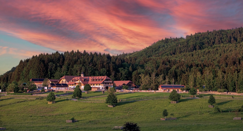 Gut Aiderbichl Salzburg Stadt Land