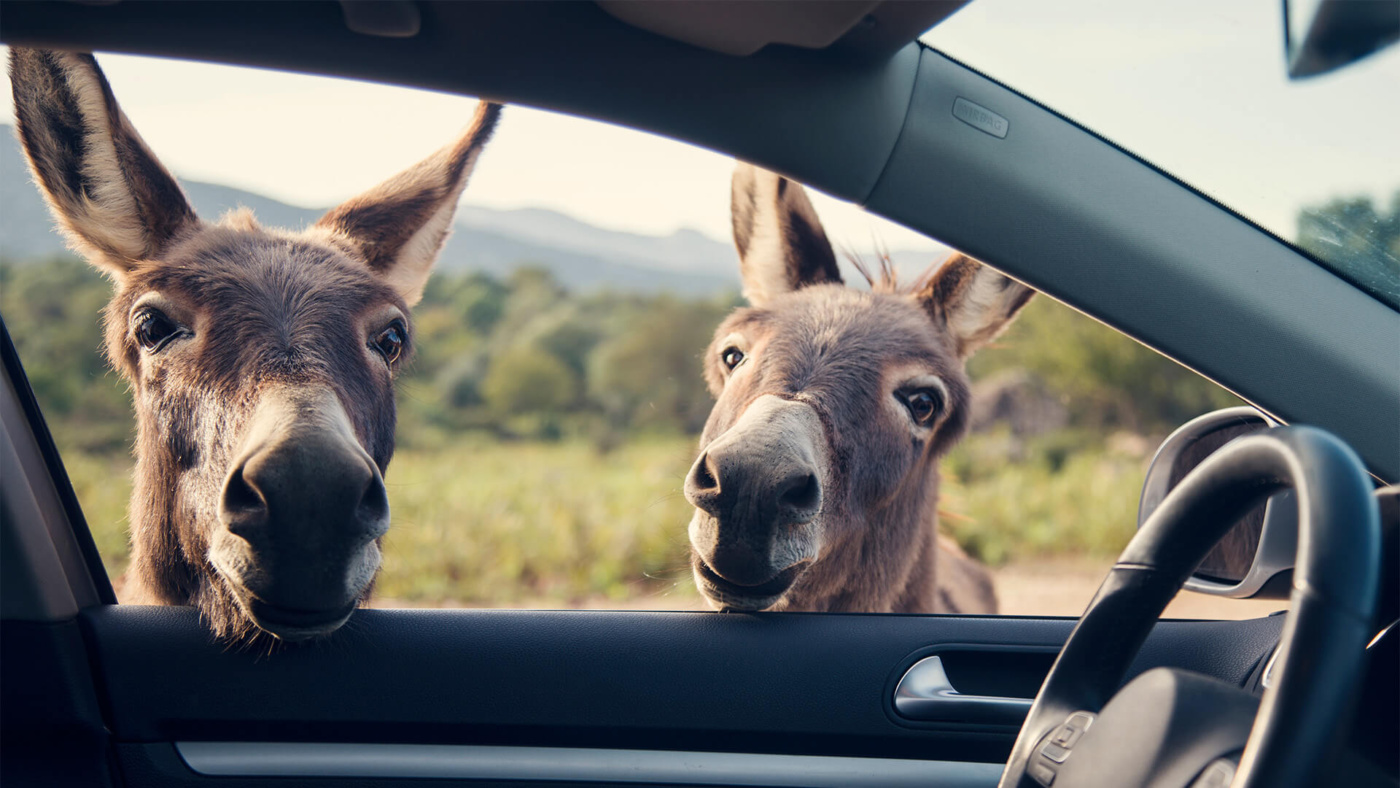 Sardinien Roadtrip mit Auto & Fähre ab auf die Insel Christophorus