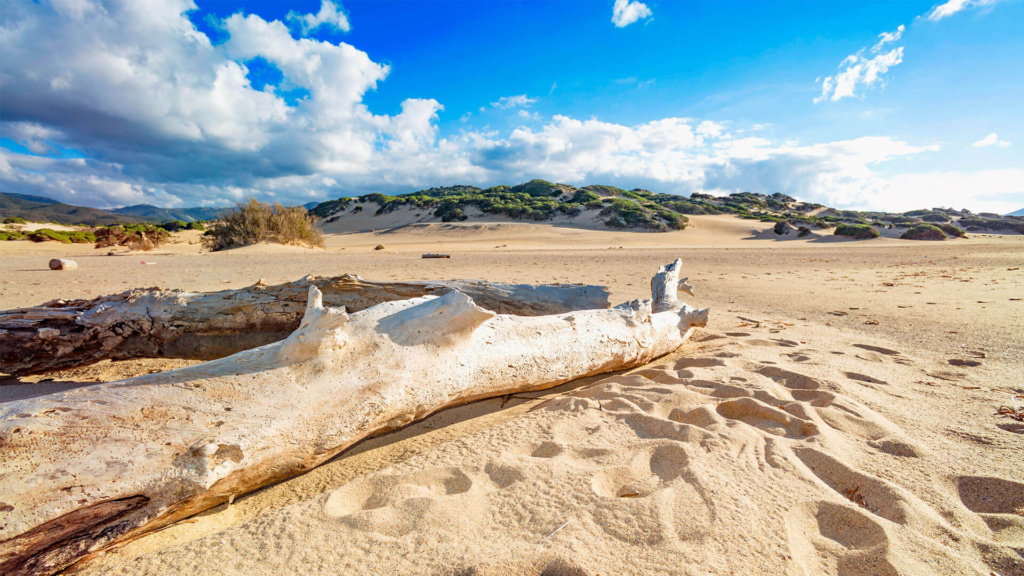 Sanddünen Sardinien Costa Verde