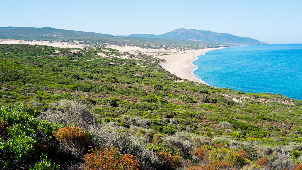 Costa Verde - Grüne Küste trotz Wüstenlandschaft - Sardinien Christophorus Reisen