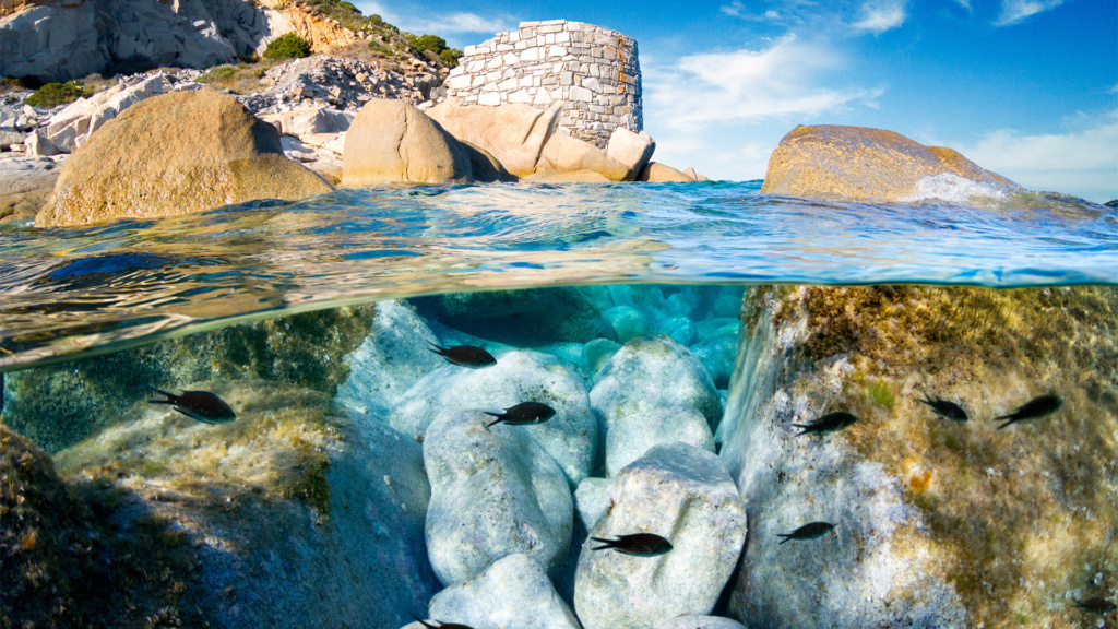 Tauchen auf Sardinien