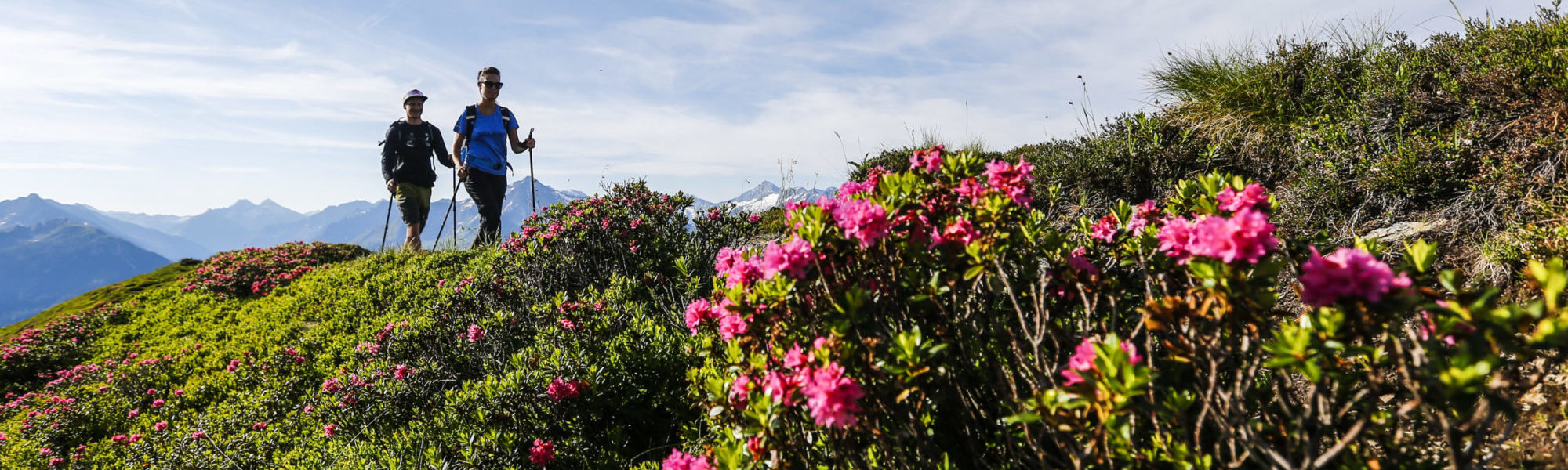 © TVB Mayrhofen - Dominic Ebenbichler