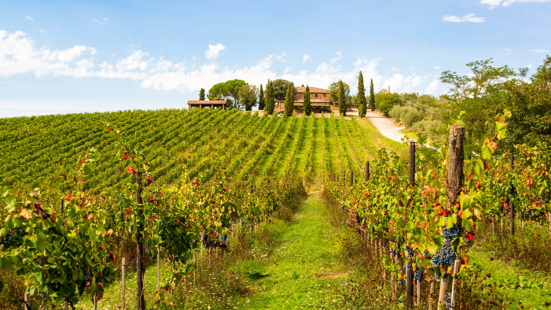 Chianti - die Weinstadt Italiens