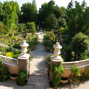 Urlaub in Abano und Montegrotto Terme: Ausflug nach Padua Botanischer Garten