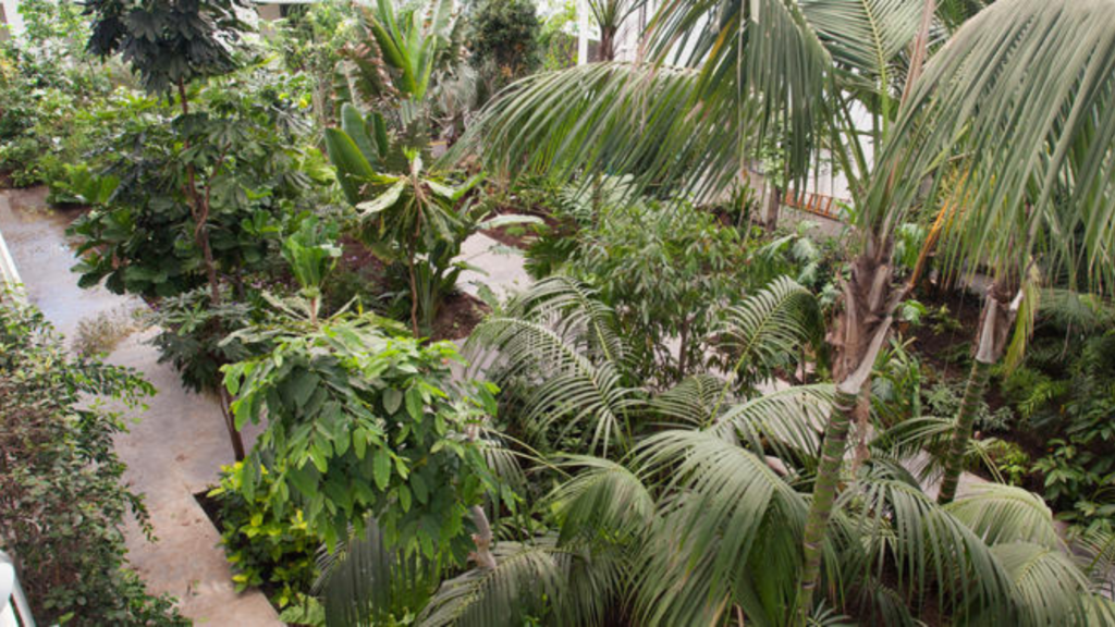 Abano & Montegrotto Ein Tag im Botanischen Garten Padua