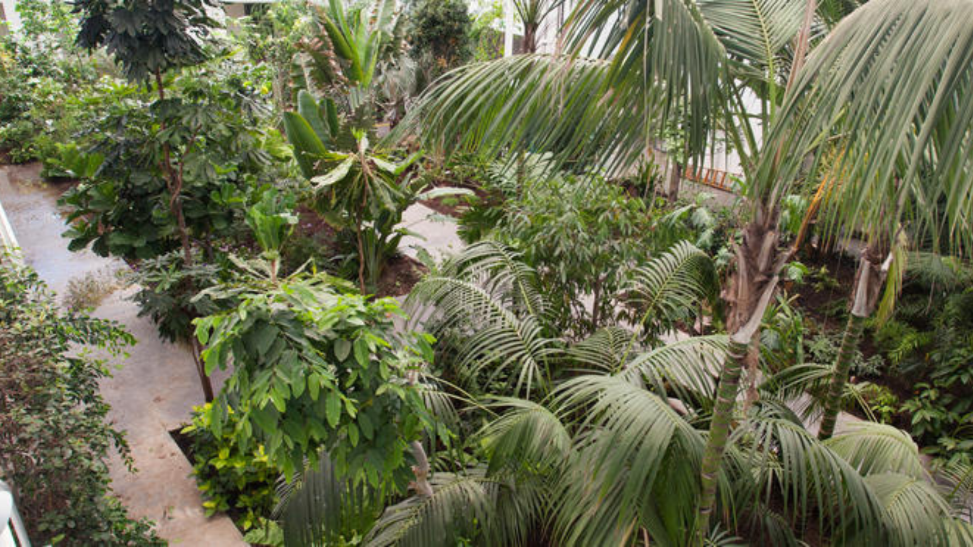 Urlaub in Abano und Montegrotto Terme: Ausflug Botanischer Garten Padua