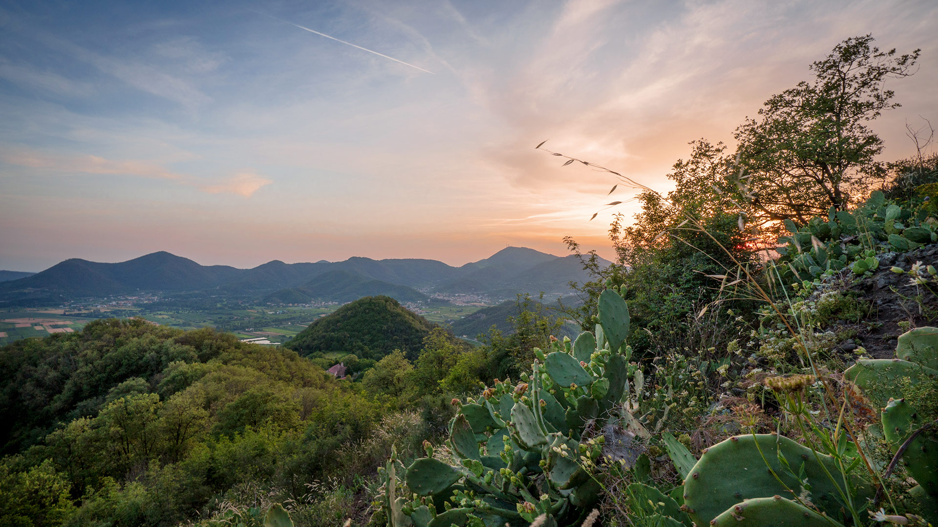 Urlaub in Abano und Montegrotto Terme – Aktivitäten für unterschiedliche Geschmäcker