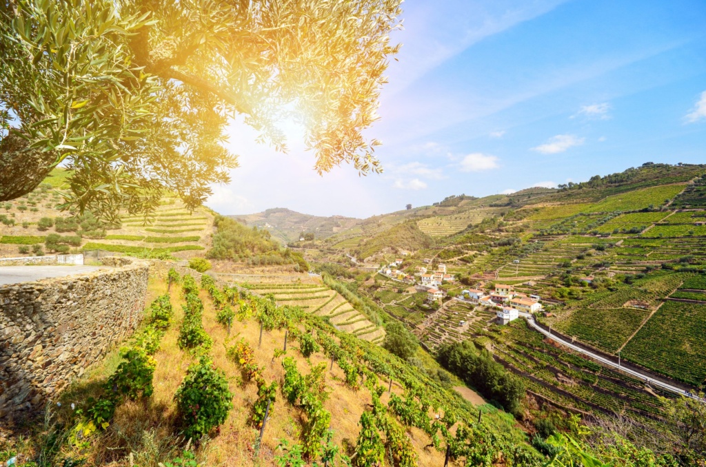 © GSW Touristik AG / MS Douro Spirit