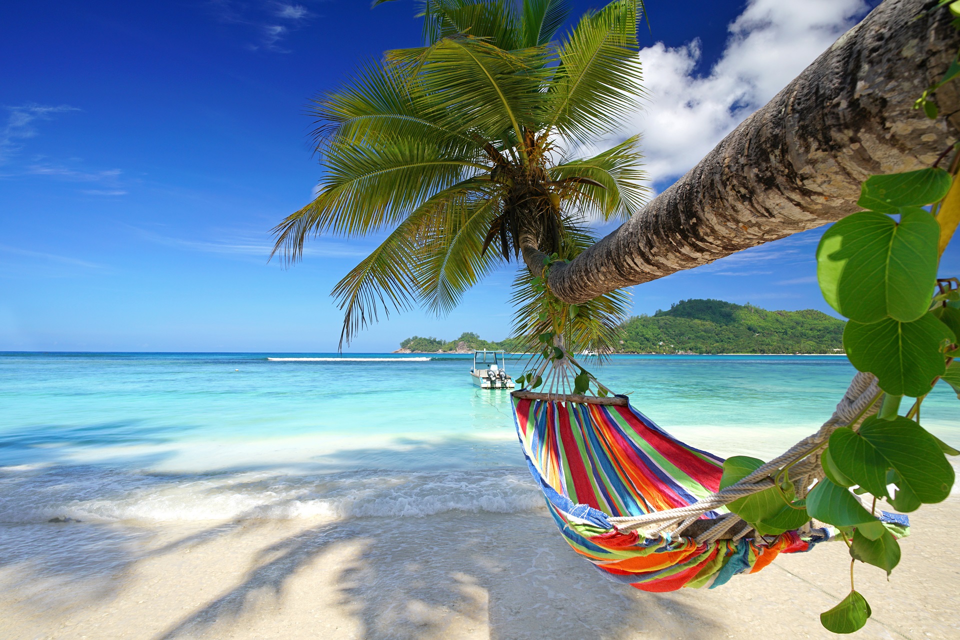 Mahe,Island,,Seychelles,-,Romantic,Cozy,Hammock,In,The,Shadow