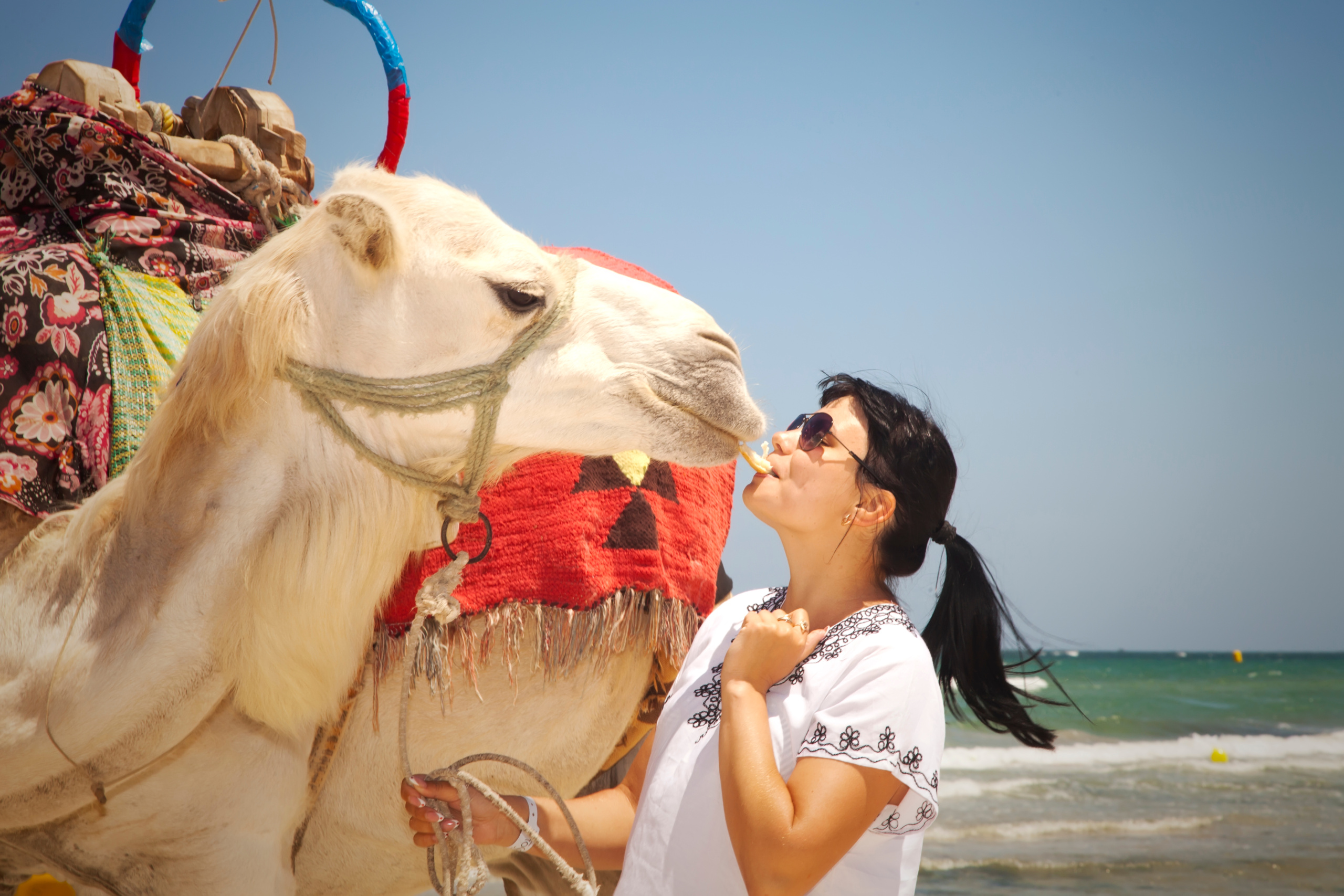 Young,Female,Tourist,In,Tunic,And,Sunglasses,Poses,With,Camels